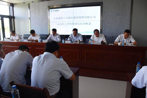 新區(qū)公司召開上半年經(jīng)濟運行分析會