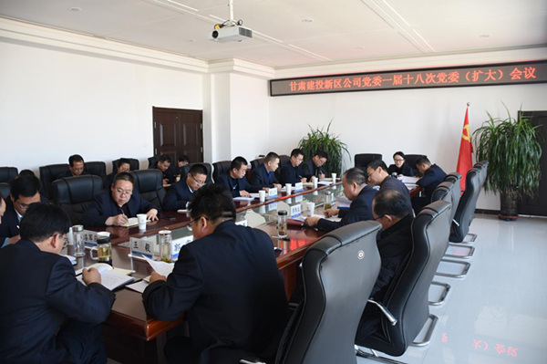 新區(qū)公司黨委召開一屆十八次黨委（擴大）會議安排部署2019年黨建重點工作