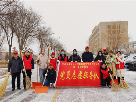 新區(qū)公司第一黨支部開展學雷鋒志愿服務活動