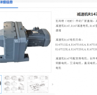 R147-163.31-DRN160M4-11KW-M1-0°減速電機