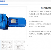 R57/D80N4/48.23/M5/180減速電機(jī)型號(hào)解析