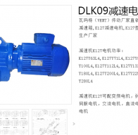 DLK09-DM160M-4-11KW減速電機(jī)型號解析