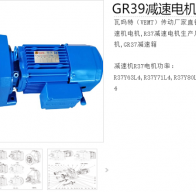 減速電機(jī)GR39-Y2.2-4P-10.11-M1型號(hào)解析