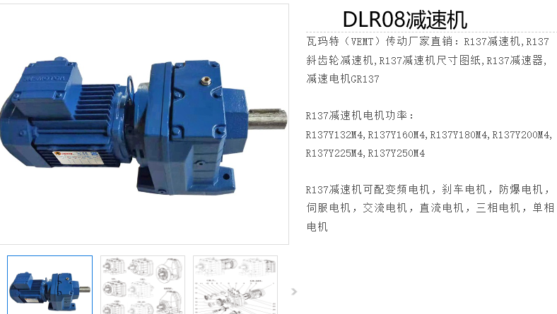 DLR08-1/89.36-DMP160L-4-M1-R-15KW減速電機型號,R系列減速器.png